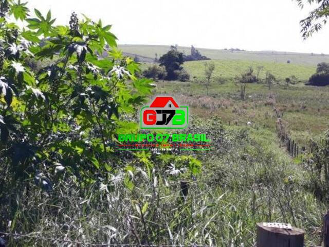 Sítio para Venda em Paraibuna - 3
