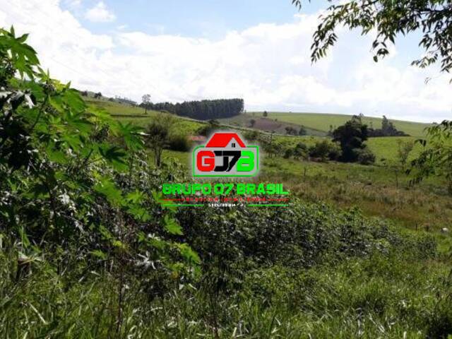 Sítio para Venda em Paraibuna - 4