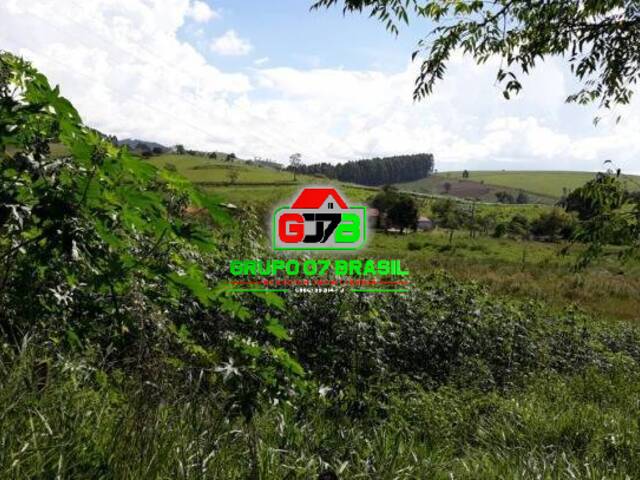 Sítio para Venda em Paraibuna - 5