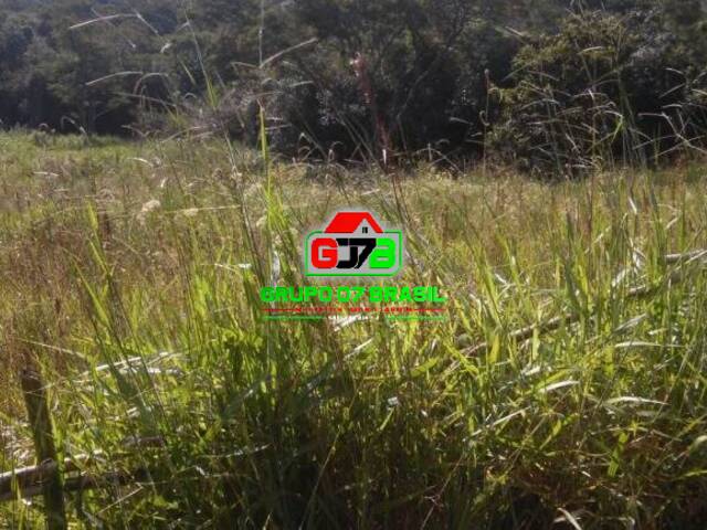 Chácara para Venda em Paraibuna - 5