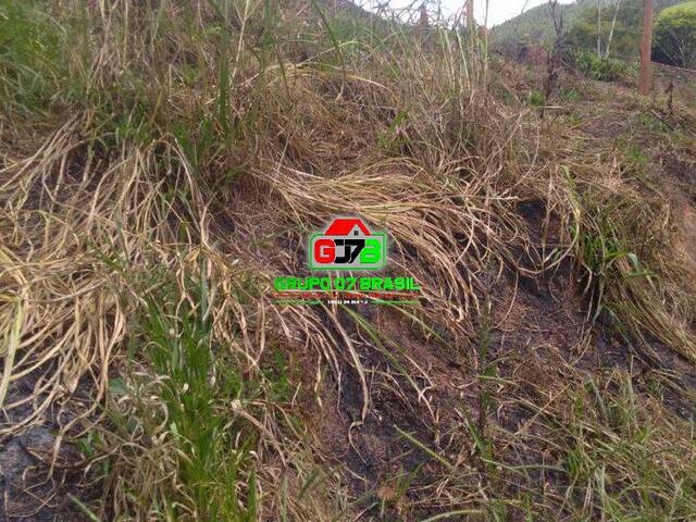 Sítio para Venda em Paraibuna - 4