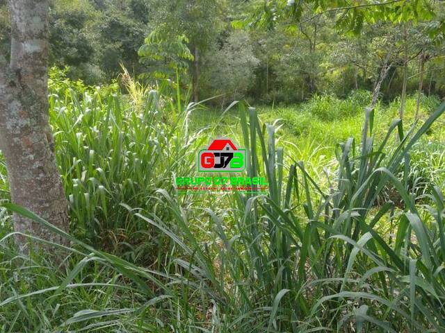 Sítio para Venda em Paraibuna - 3