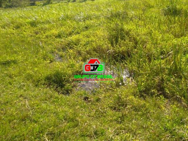 Sítio para Venda em Paraibuna - 5