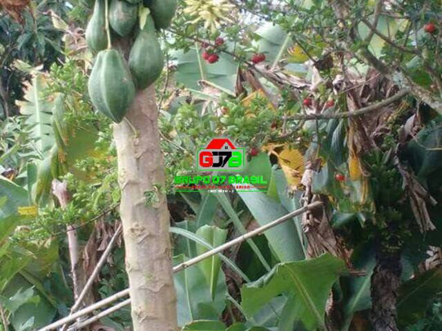 Chácara para Venda em Paraibuna - 3