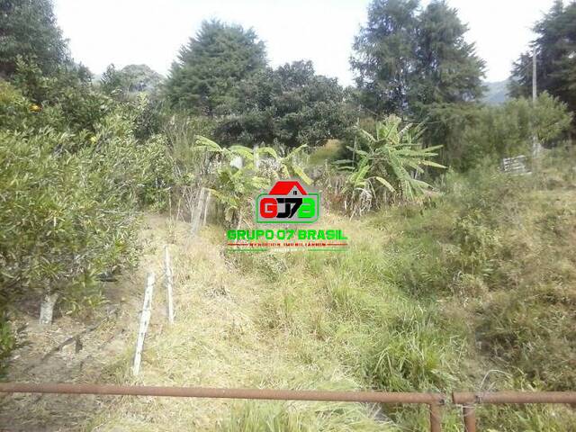 Fazenda para Venda em Paraibuna - 3