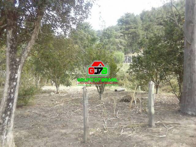 Fazenda para Venda em Paraibuna - 4