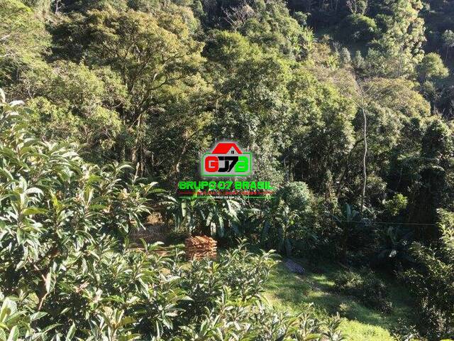 Sítio para Venda em São José dos Campos - 4