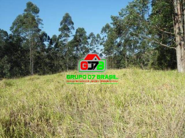 Sítio para Venda em São José dos Campos - 4