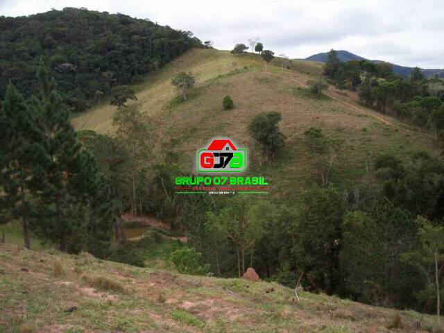 Sítio para Venda em Paraibuna - 4