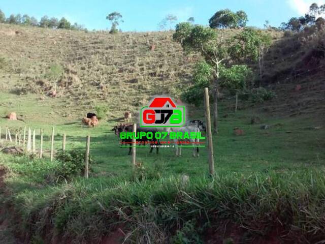 Fazenda para Venda em Paraibuna - 3
