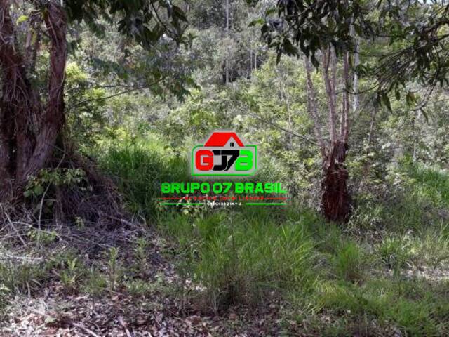 Sítio para Venda em Paraibuna - 2