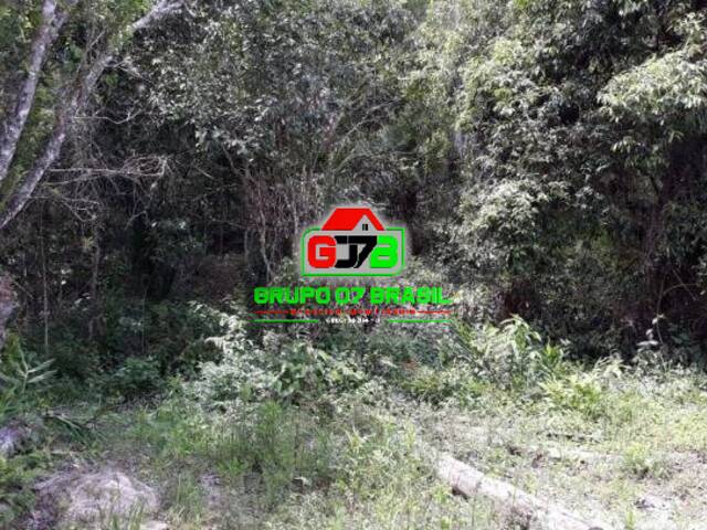 Sítio para Venda em Paraibuna - 5