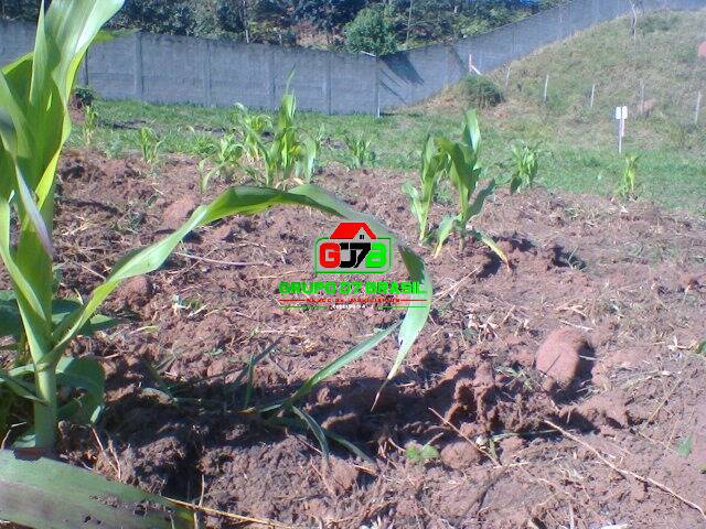 Terreno1 para Venda em São José dos Campos - 3