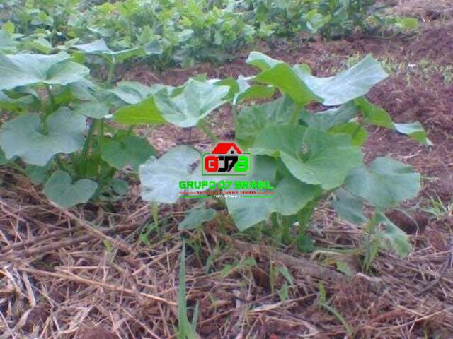 Terreno1 para Venda em São José dos Campos - 5