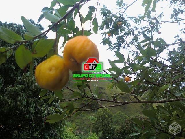 Chácara para Venda em São José dos Campos - 3