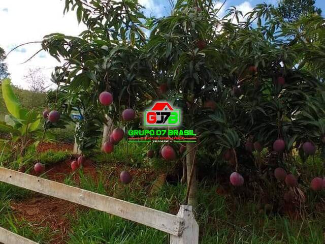 Chácara para Venda em Monteiro Lobato - 3