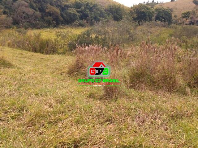 Sítio para Venda em Paraibuna - 5