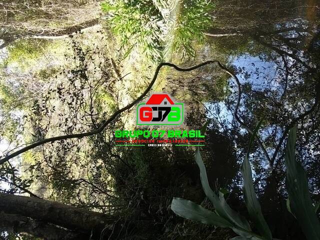 Sítio para Venda em Jambeiro - 5