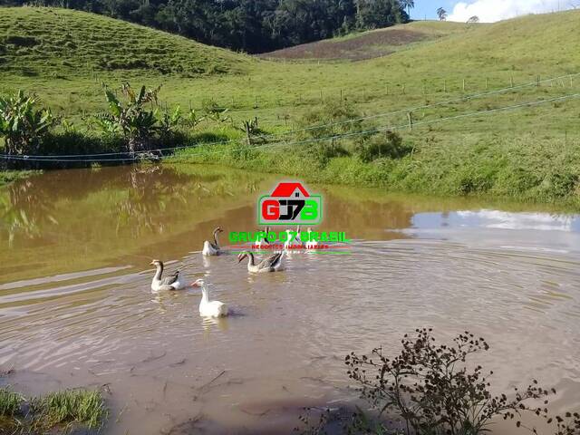 Sítio para Venda em Paraibuna - 2