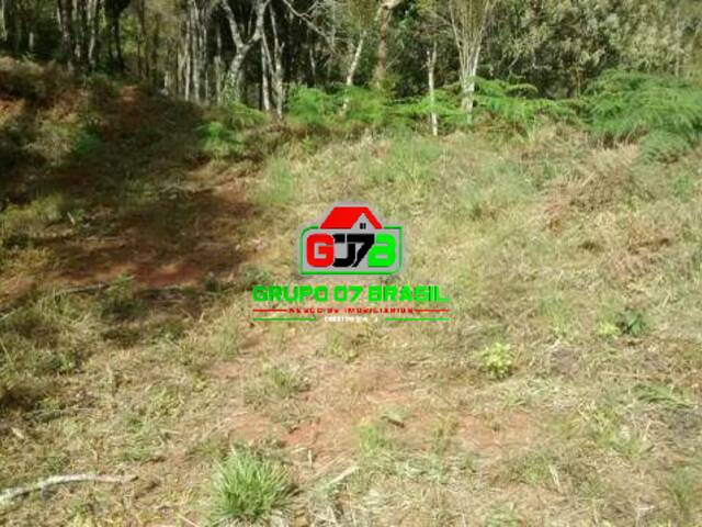 #1210 - Chácara para Venda em São José dos Campos - SP - 3