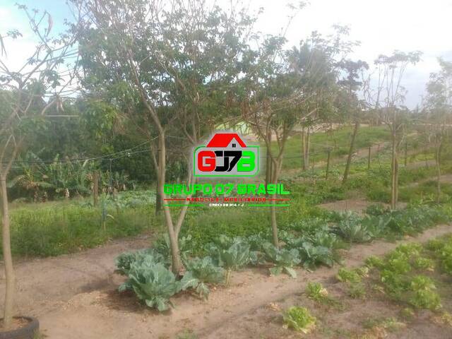 Sítio para Venda em Quadra - 5