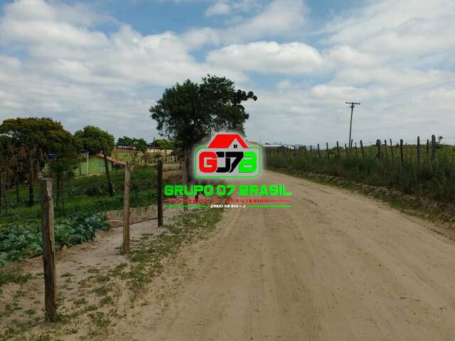 #1221 - Sítio para Venda em Quadra - SP - 1