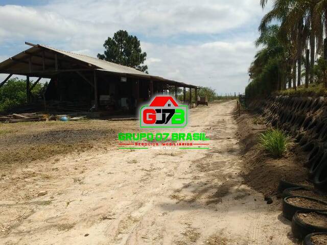 #1221 - Sítio para Venda em Quadra - SP - 2