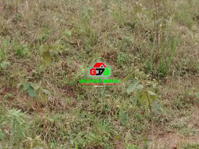 Sítio para Venda em Jambeiro - 3