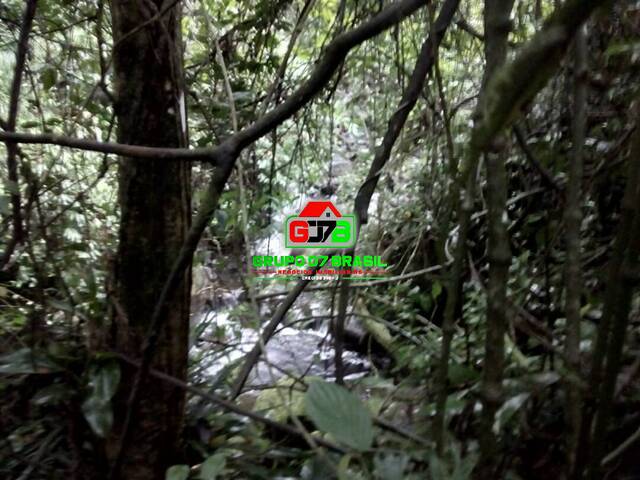 Sítio para Venda em Caraguatatuba - 5