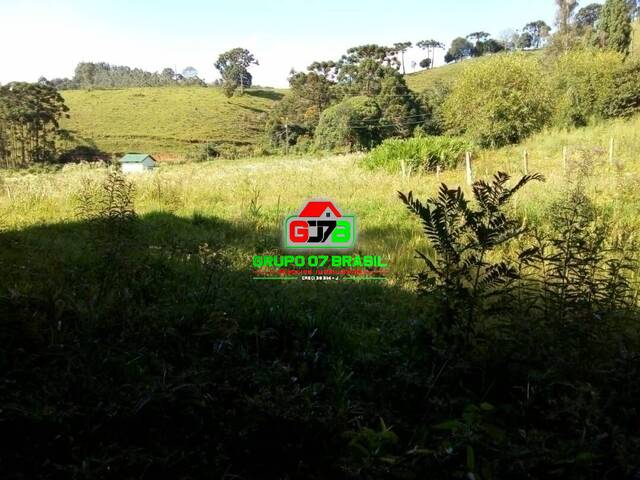 Sítio para Venda em Virgínia - 2