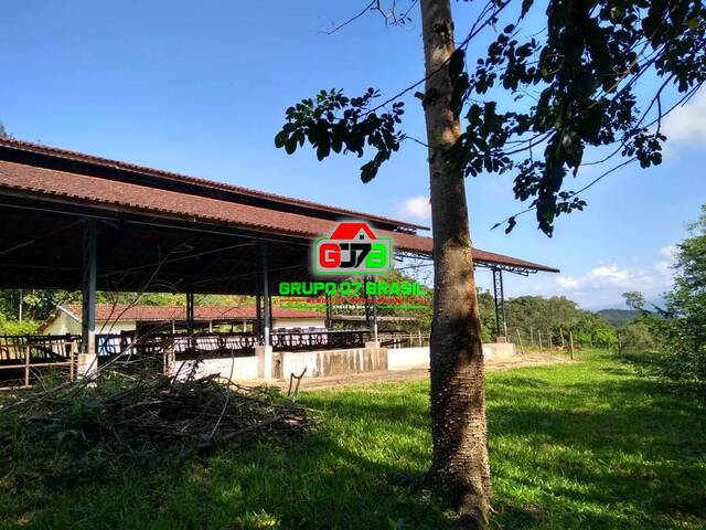 Fazenda para Venda em Pindamonhangaba - 5