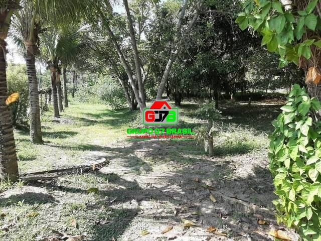 Chácara para Venda em Paraibuna - 4