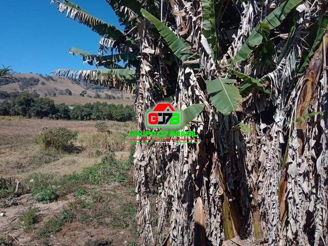 Chácara para Venda em Virgínia - 4