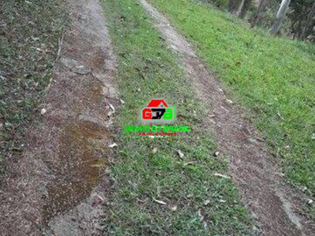 Sítio para Venda em Jambeiro - 5