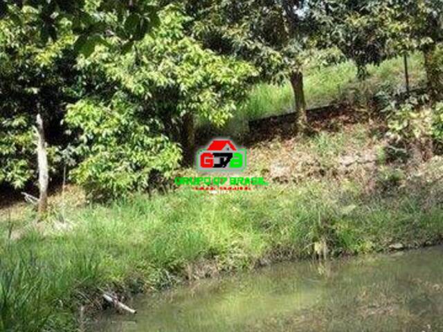 Sítio para Venda em Jambeiro - 4