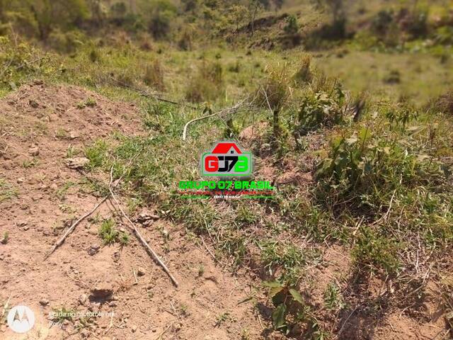 Sítio para Venda em Paraibuna - 3
