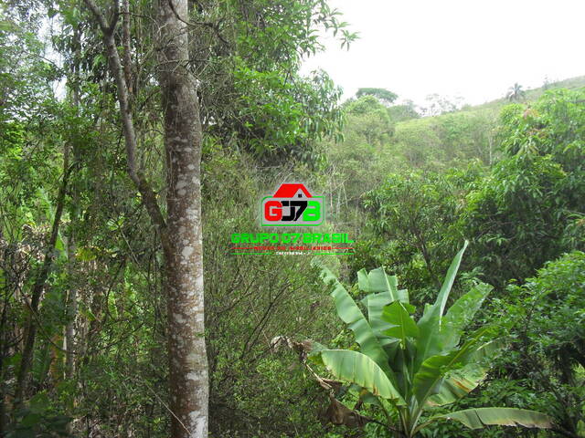 Sítio para Venda em São José dos Campos - 3