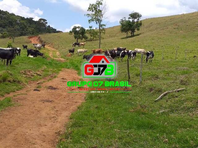Fazenda para Venda em Jesuânia - 2