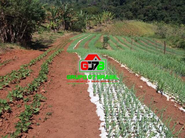 #2151 - Fazenda para Venda em Carmo de Minas - MG
