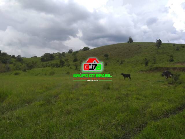 Venda em Cedro - Paraibuna