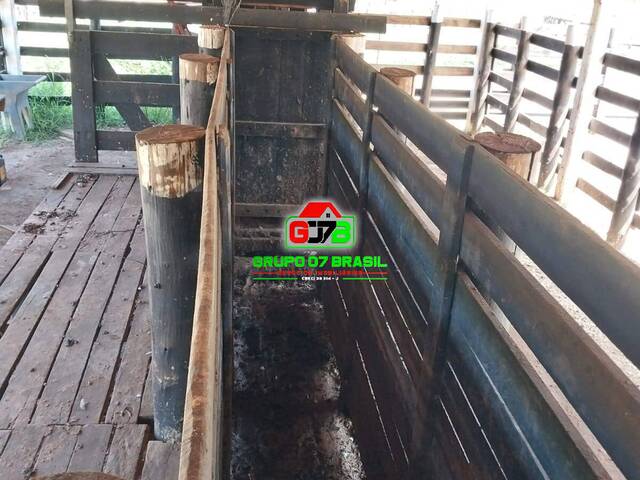 Fazenda para Venda em Aparecida - 3