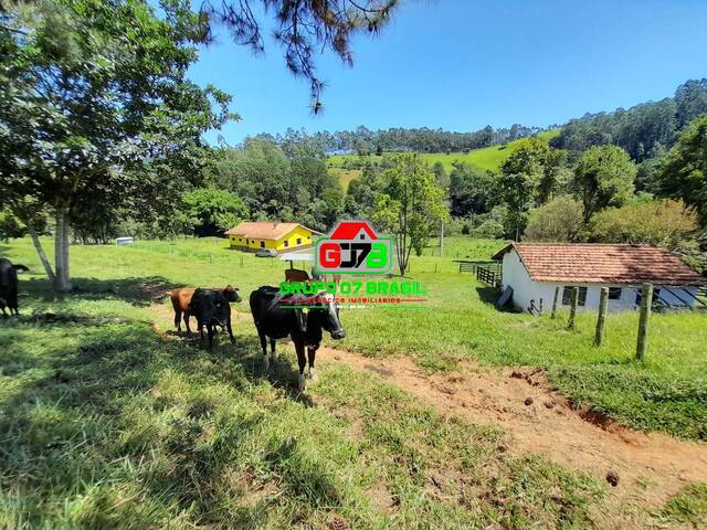 Venda em Centro - Lagoinha