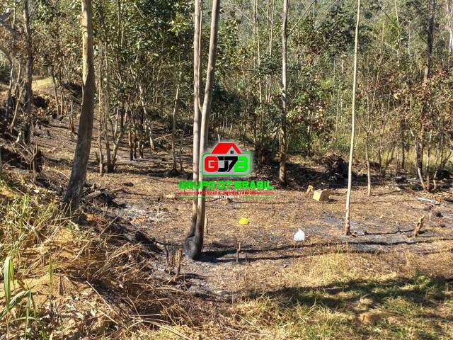 Sítio para Venda em Monteiro Lobato - 3