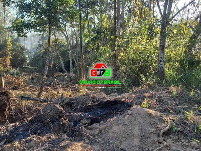 Sítio para Venda em Monteiro Lobato - 5