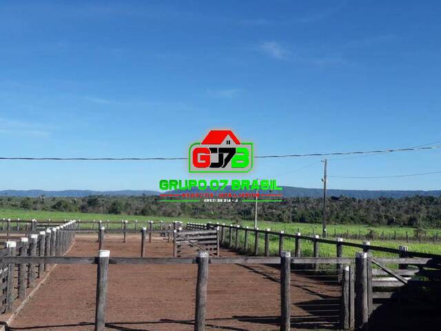 Fazenda para Venda em Xinguara - 2