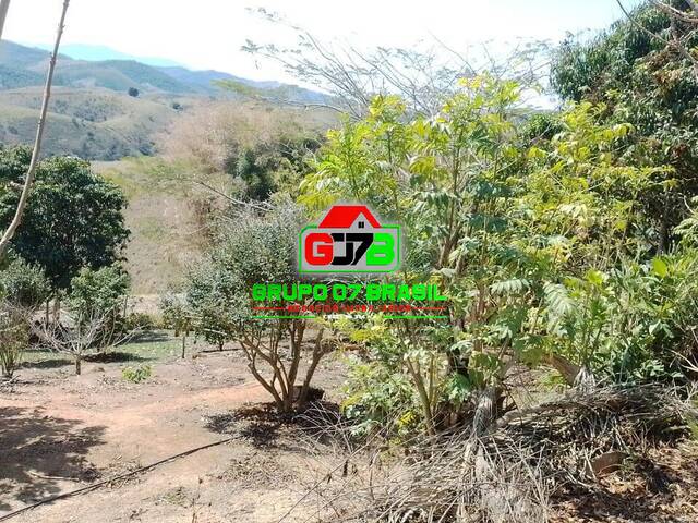 Sítio para Venda em São José dos Campos - 3