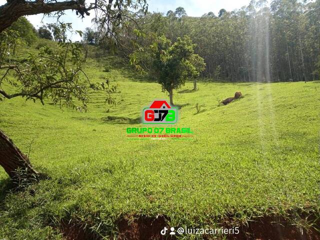 Venda em Centro - Lagoinha