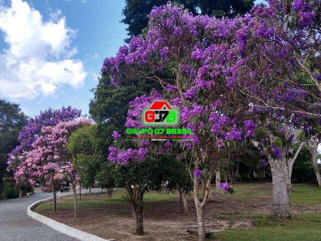 Chácara para Venda em Paraibuna - 4