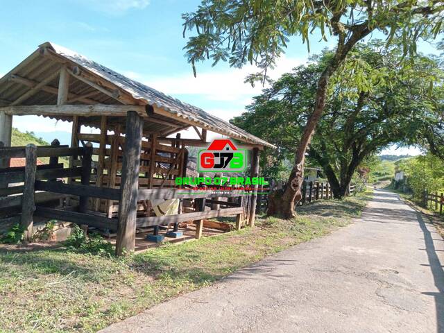 Fazenda para Venda em São José do Barreiro - 4
