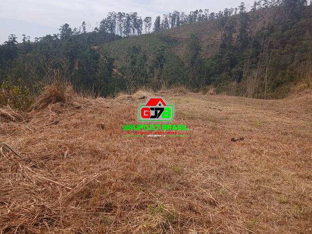 Chácara para Venda em Monteiro Lobato - 5